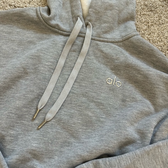Alo Accolade Hoodie Heather Gray size M NWT - Picture 3 of 5